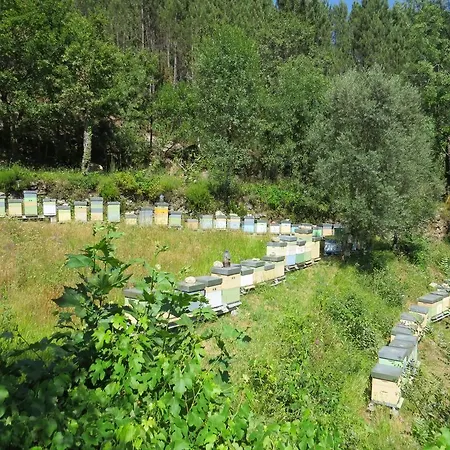 Quinta Machado Da Pedra Bela *
