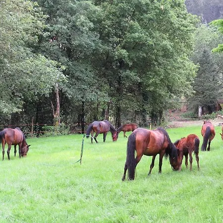 Quinta Machado Da Pedra Bela Hébergement de vacances *