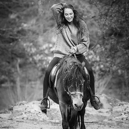 Дом отдыха Quinta Machado Da Pedra Bela