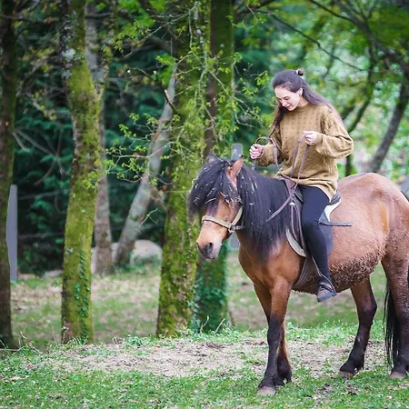 Quinta Machado Da Pedra Bela