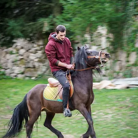 Quinta Machado Da Pedra Bela * Герес