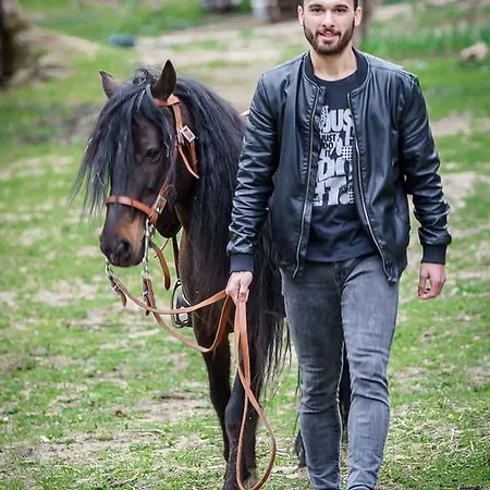 Hébergement de vacances Quinta Machado Da Pedra Bela