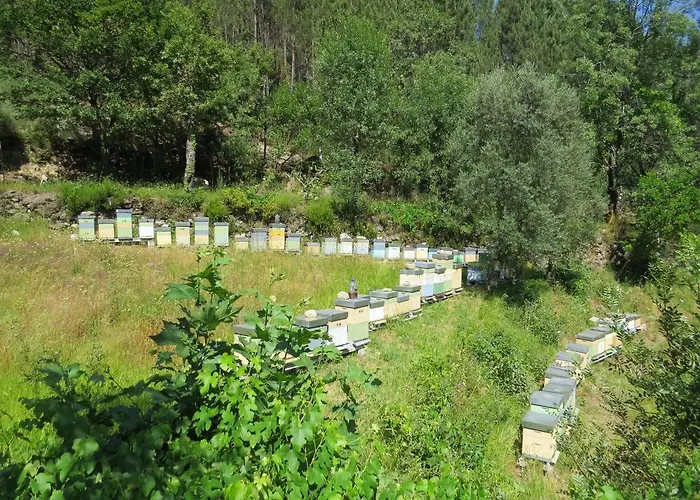 Quinta Machado Da Pedra Bela *