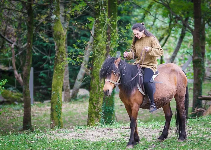Quinta Machado Da Pedra Bela