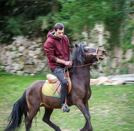 Quinta Machado Da Pedra Bela * 제어스