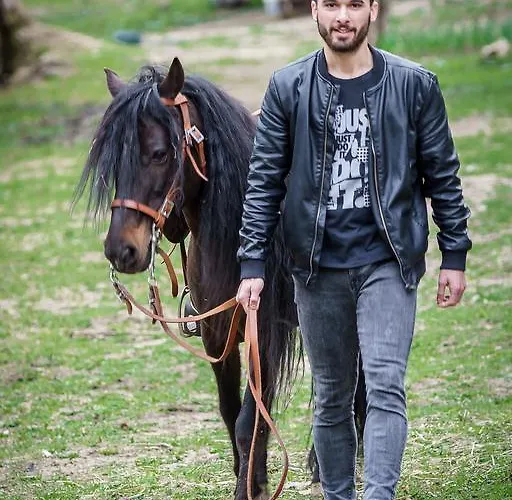 펜션 Quinta Machado Da Pedra Bela