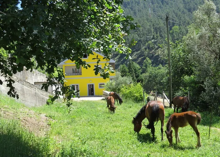 Quinta Machado Da Pedra Bela Casa vacanze *